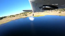 Fish Fall Out of Airplane!