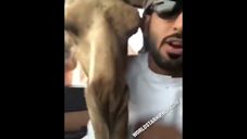 Camel Selfie Goes Wrong